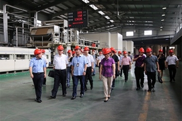 2018年9月12日，全國政協(xié)常委、提案委員會(huì)副主任郭庚茂、支樹平率領(lǐng)調(diào)研組蒞臨公司開展調(diào)研