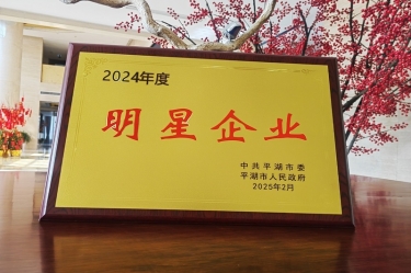 新春新景新氣象 | 景興紙業(yè)在平湖三干大會(huì)上喜摘榮譽(yù)！